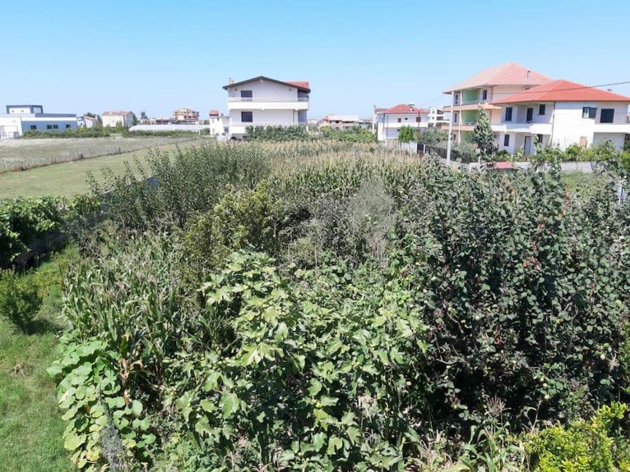 Green Villa Leilighet *