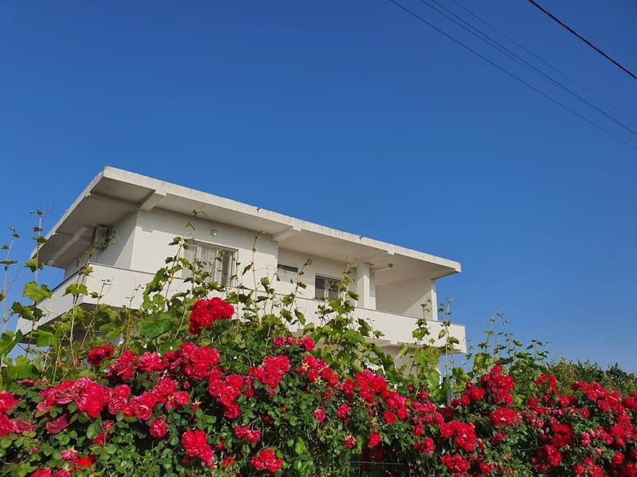 Leilighet Green Villa *